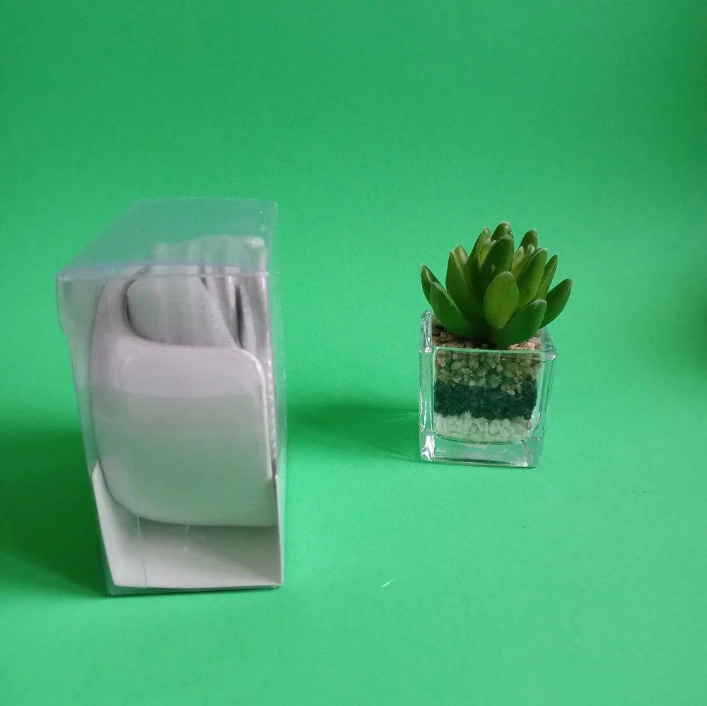 Hearth and hands with magnolia, tasting mini plates, ceramic